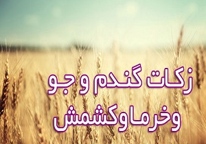 مصارف صدقه و زکات برای حل مشکلات مردم است