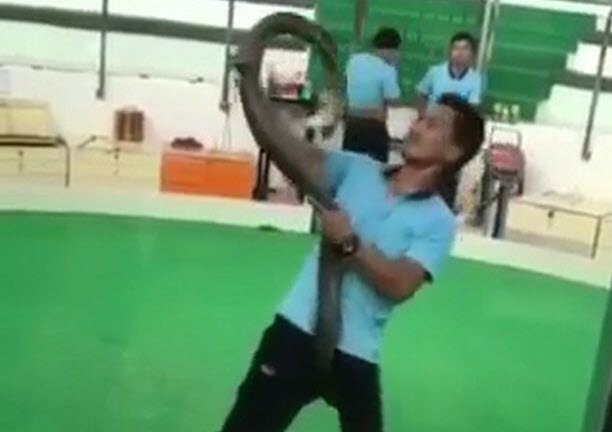 لحظه وحشتناک حمله مار شاه کبری به مرد جوان! + فیلم//