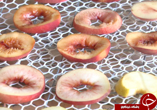 میوه خشک صنعتی رو به رشد در اقتصاد استان فارس