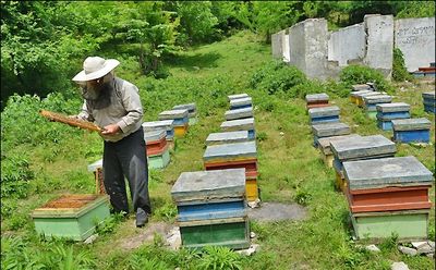 روستا&zwnj;هایی که خورشید در آنجا غروب نمی&zwnj;کند
