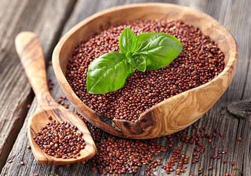 کینوا مهمان جدید سفره های ایرانی در فارس