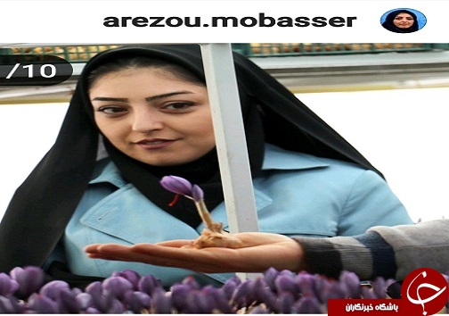 کشت نوین زعفران به همت بانوی سردرودی/ تحول در صنعت زعفران به شیوه&zwnj;های جدید