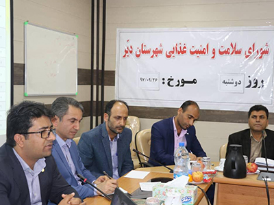 شش تن مواد غذایی فاسد در دیّر معدوم شد