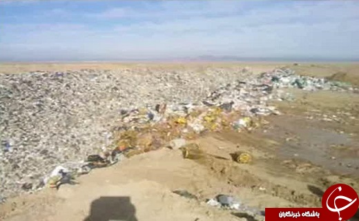 معدوم سازی 2 تن مواد غذایی فاسد در قم