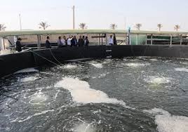 افتتاح مرکز پرورش لارو ماهی در  بندرلنگه