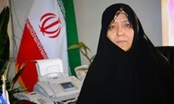 مدیر کل حوزه معاونت امور مجلس ریاست جمهوری منصوب شد
