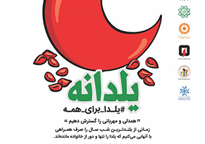 اجرای طرح «یلدانه» با شعار «یلدا برای همه» در فارس