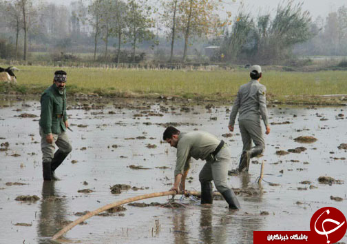 ادامه طرح تخریب صیدگاه&zwnj;های غیرمجاز در مازندران+ تصاویر
