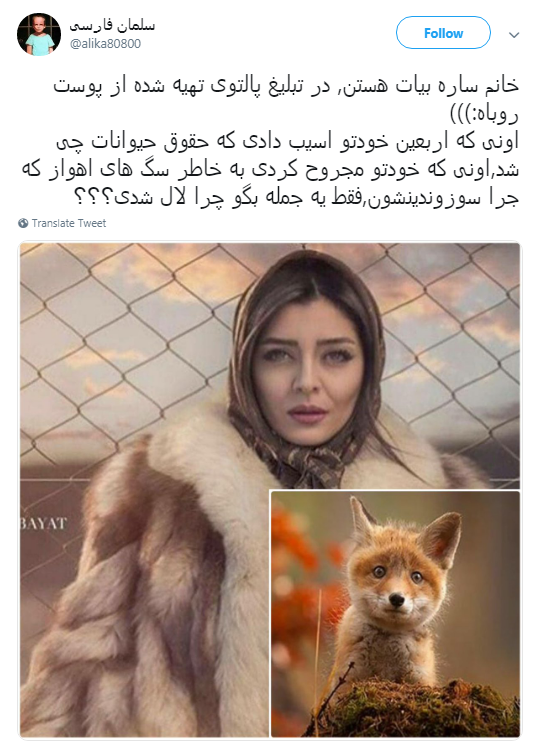 تبلیغ پالتو پوست روباه توسط سفیر صنایع دستی! +تصویر