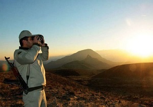 مصدوم شدن محیط بان اندیمشکی در درگیری با قاچاقچیان پرنده