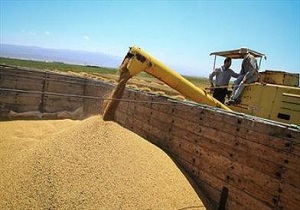 توزیع نهاده های دامی در گرمسار و آرادان
