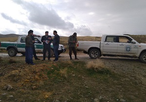 کارنوال نزاع سگ‌ها در بوکان متلاشی شد