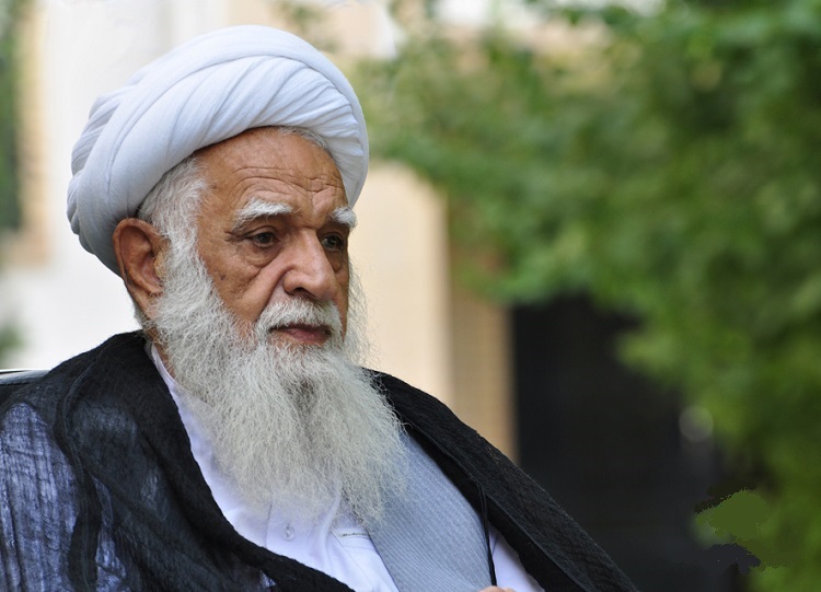 جهان اسلام فقط نظاره گر وضعیت فلسطین است/ به جای حرف، گام های عملی برداشته شود