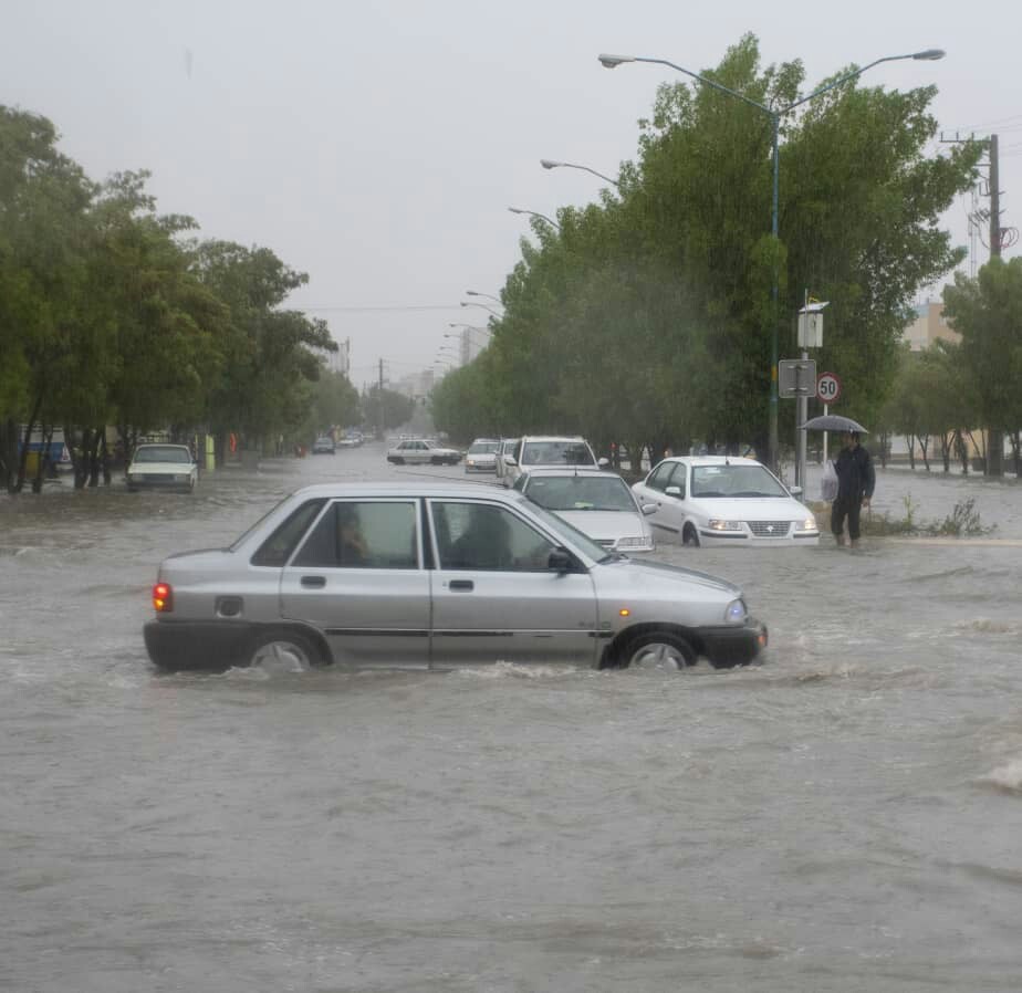 پاییز پربارش بوشهر