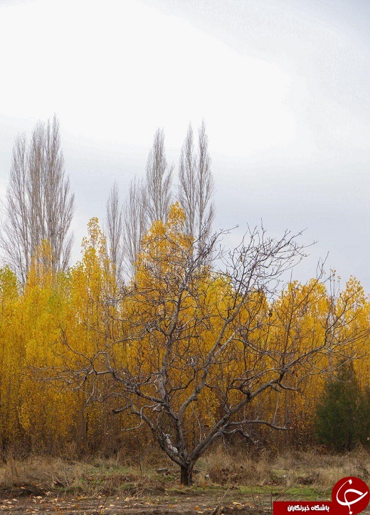 طبیعت زیبای پاییزی ارومیه+تصاویر