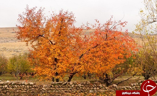 طبیعت زیبای پاییزی ارومیه+تصاویر