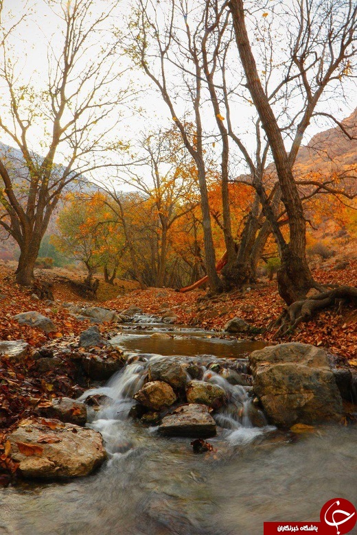 طبیعت زیبای پاییزی ارومیه+تصاویر