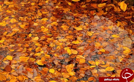 طبیعت زیبای پاییزی ارومیه+تصاویر