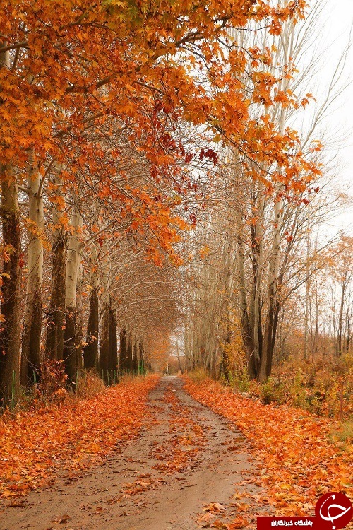 طبیعت زیبای پاییزی ارومیه+تصاویر