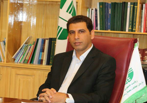 برخورد شدید با متخلفان شکار پرندگان مهاجر در دستور کار محیط زیست