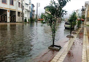 قایق سواری کودکان در خیابان&zwnj;!! + فیلم