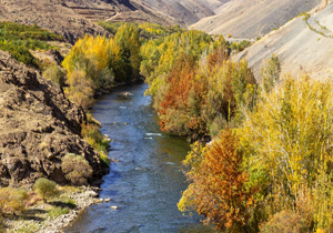 پیش بینی کاهش محسوس دمای هوا
