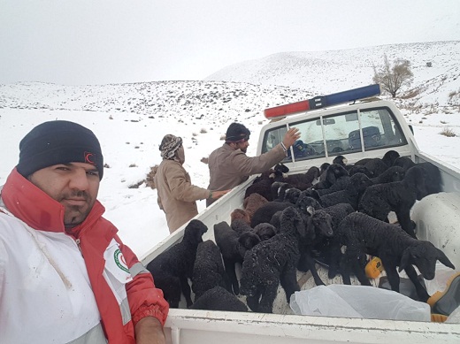 گرفتار شدن چوپانان ساوه&zwnj;ای در برف