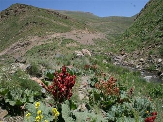 مستند &laquo;اقلیم&raquo; برای نوروز ۹۸ آماده می&zwnj;شود