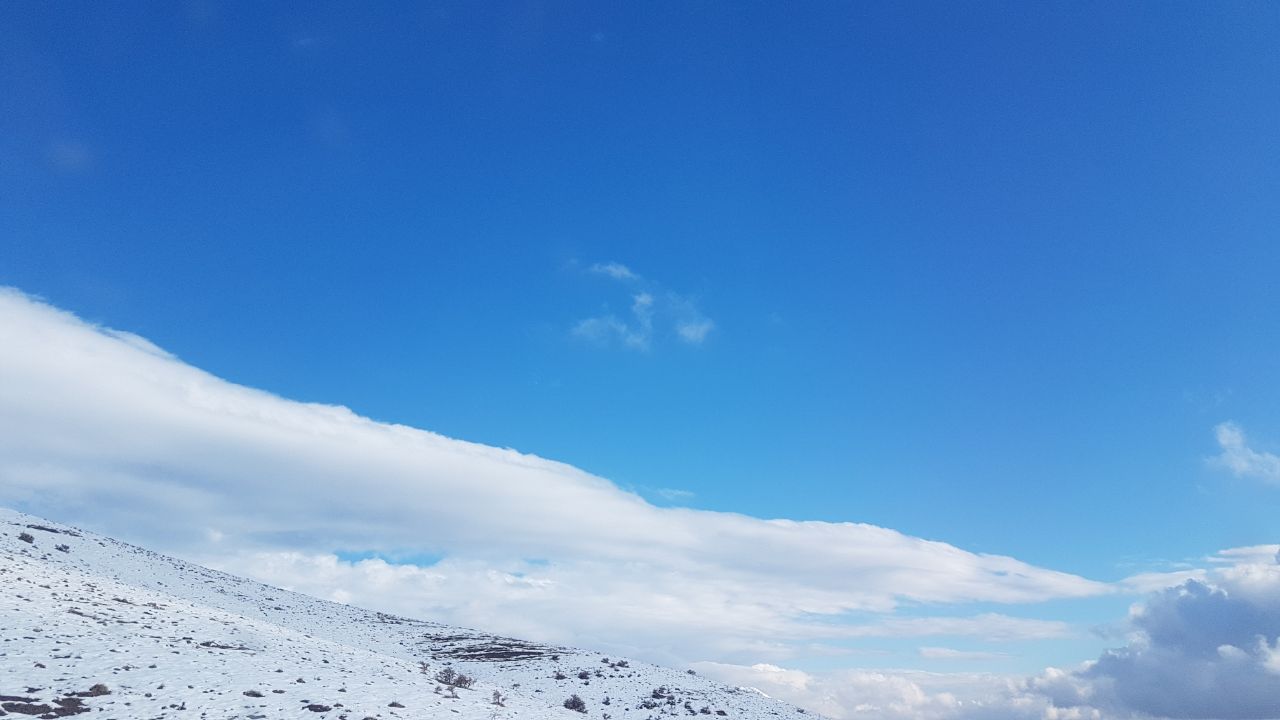 سنکگ برفی +تصاویر