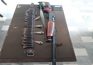 دستگیری یک شکارچی غیر مجاز در تاکستان