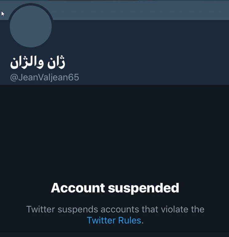 توییتر باز هم اکانت ها انقلابی را مسدود کرد +تصاویر