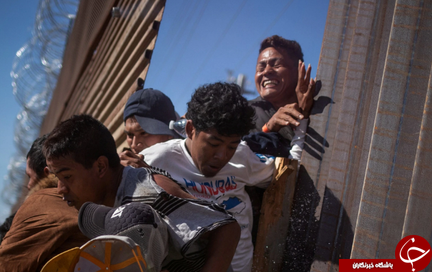 تصاویر روز: از کشف لاشه بیش از 100 نهنگ در ساحل نیوزیلند تا تجمع در اعتراض به تبعیض جنسیتی در استانبول