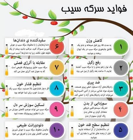 معجزه مصرف سرکه سیب+اینفوگرافی