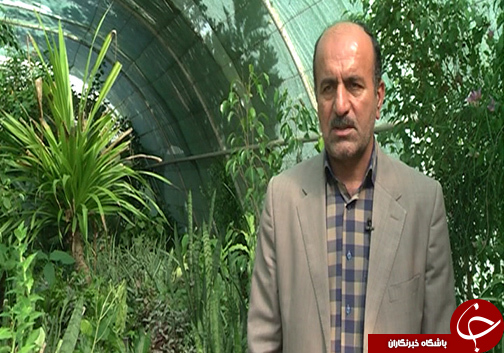 گلستان بهشت تولیدات دارویی / ثروتی که کمتر به آن توجه می شود.