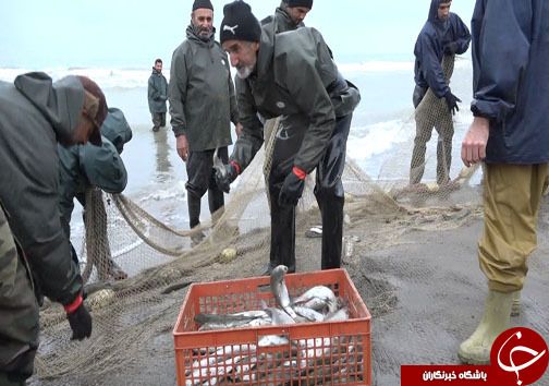 حال صیادان شمال این روز&zwnj;ها حال دلپذیری است