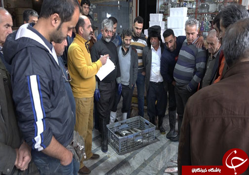 حال صیادان شمال این روز&zwnj;ها حال دلپذیری است