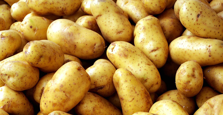 ///