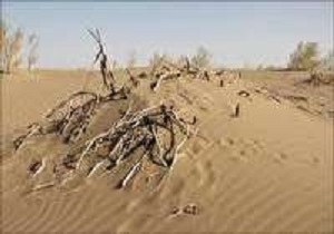 خسارت حدود ۲۰ میلیاردی فرسایش باد به خراسان جنوبی
