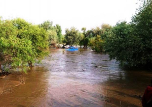 خسارت بیش از ۲۴۰ میلیارد تومانی سیلاب به بخش کشاورزی پلدختر