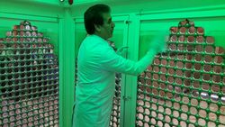 آیین غبارروبی بقعه امامزاده سیدمرتضی کاشمر برگزارشد