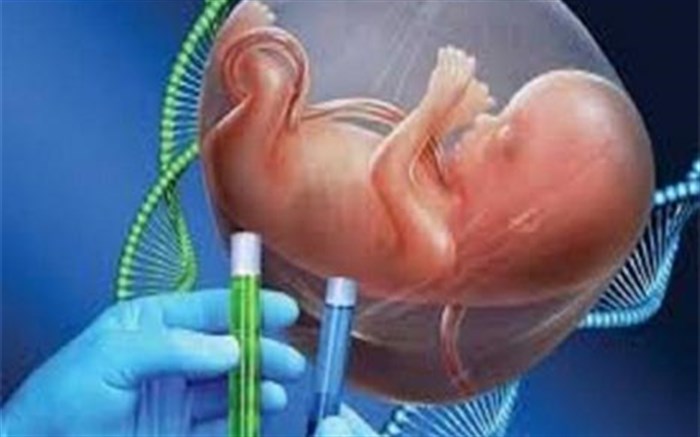 فعالیت۲۷۴ مرکز مشاوره ژنتیک در کشور/ لزوم پیشگیری از بیماری&zwnj;های ژنتیکی منجر به معلولیت