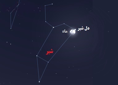 محبی