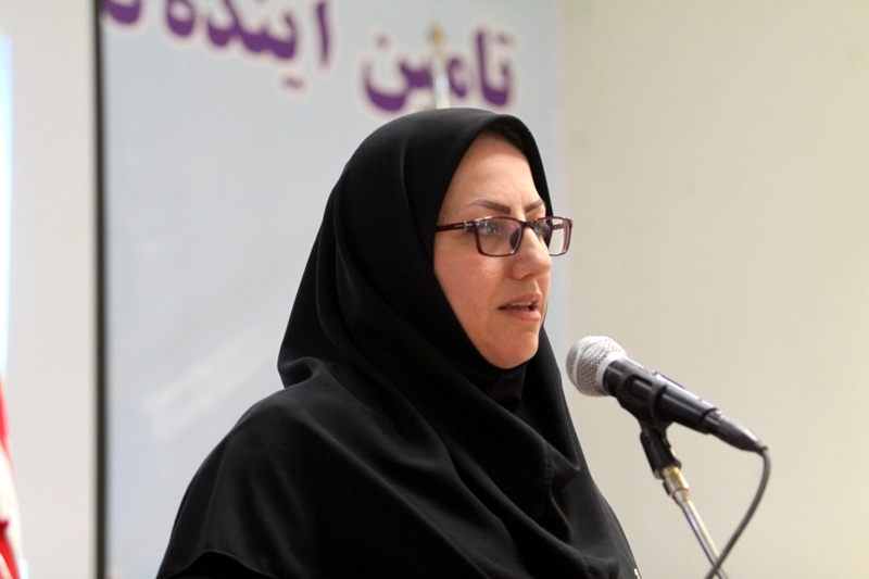 موفقیت اجرای طرح بیمه زنان خانه دار در ایلام