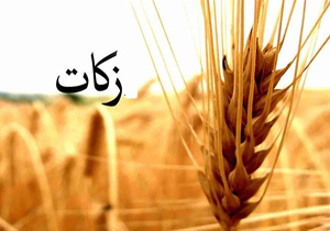 پرداخت ۳۲ میلیارد ریال زکات در چهارمحال و بختیاری
