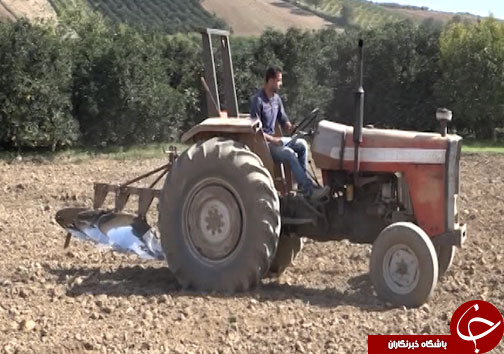 سیلو&zwnj;های مملو از گندم مازندران