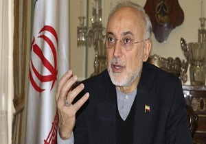 صالحی: آماده&zwnj;ایم در صورت نابودی برجام، غنی&zwnj;سازی ۲۰ درصدی را ازسربگیریم