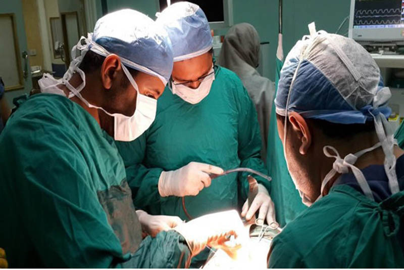 اعضای بدن جوان قروه&zwnj;ای نجات بخش جان هشت نفر شد