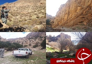 افزایش گشت های محیط بانان با توجه به شرایط حساس حیات وحش