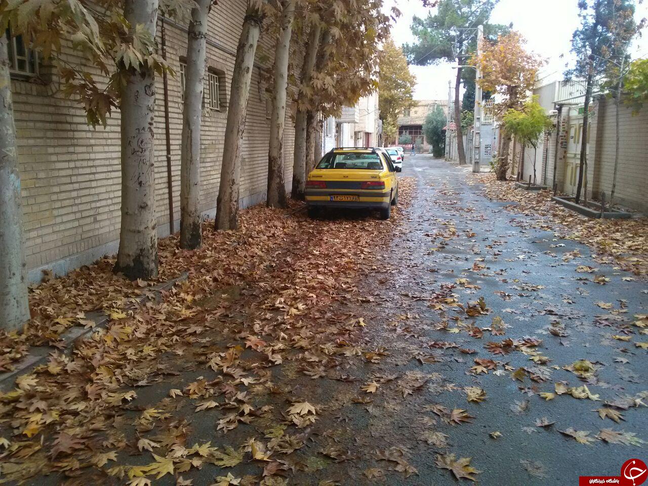 نمایی از طبیعت پاییزی در ورامین + تصاویر نمایی از طبیعت پاییزی در ورامین + تصاویر