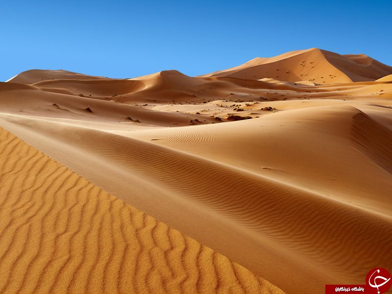 دلیل پیدایش صحرای آفریقا/ آیا انسان در پیدایش این صحرای بزرگ دخیل بوده است؟!